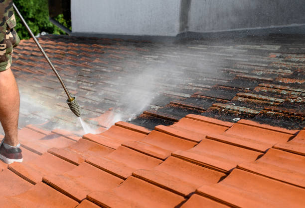 Best Pressure Washing Cost  in Pahokee, FL