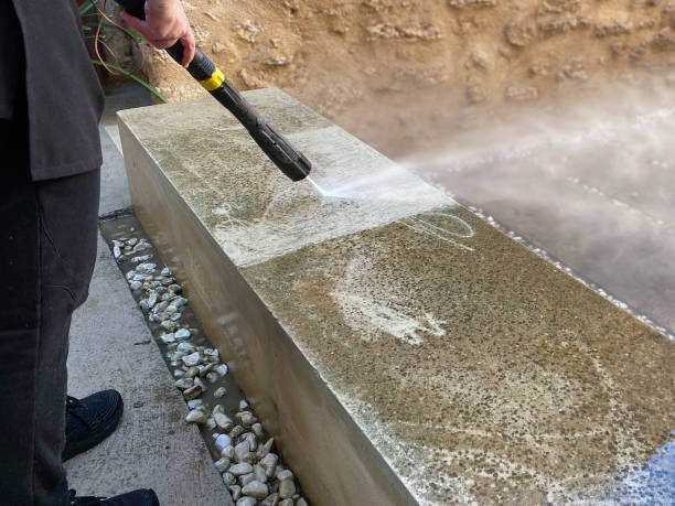 Best Roof Pressure Washing  in Pahokee, FL