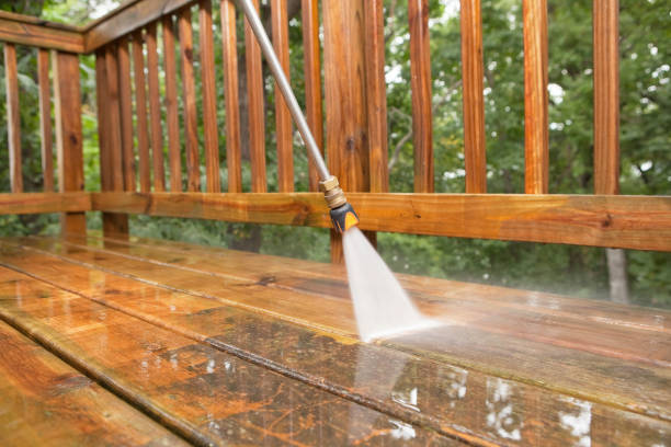 Best Pressure Washing Contractors  in Pahokee, FL