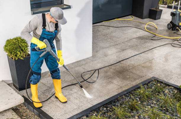 Best Pressure Washing Near Me  in Pahokee, FL